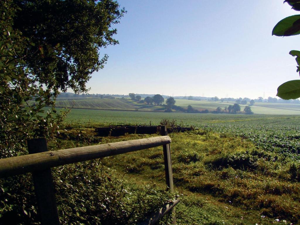The Pheasant Public House & Hotel Gestingthorpe Kamer foto